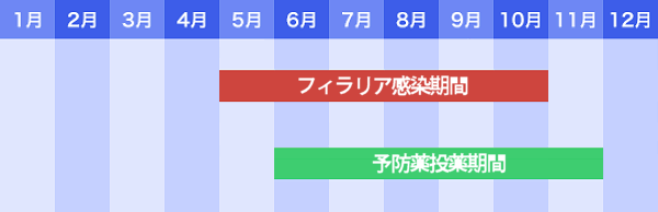 フィラリアの予防薬投薬期間