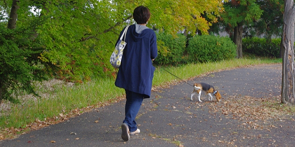 犬回虫の予防法