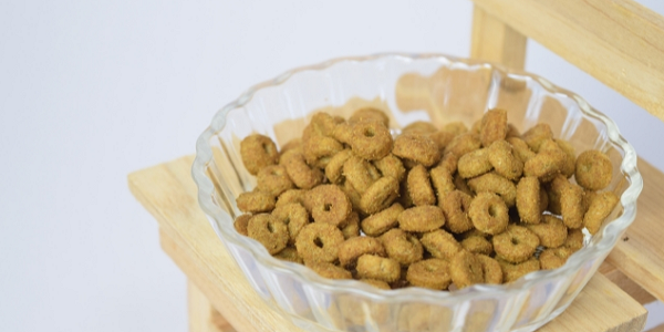 犬がキャットフードを食べた時の対処法