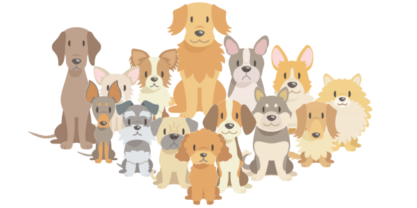 犬種別ドッグフードは無意味？