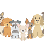 犬種別平均寿命!長生きする犬は?