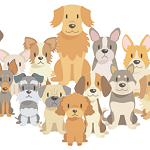 犬種別ドッグフードは本当に良いのか?