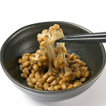 納豆は犬にとっても健康食