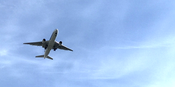 飛行機の搭乗にリスクがある犬種と航空各社の対応