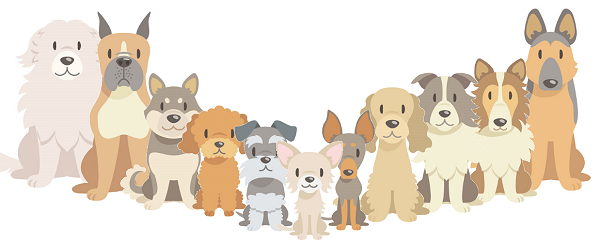 犬種別平均寿命